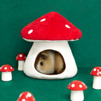 Mushroom Bed