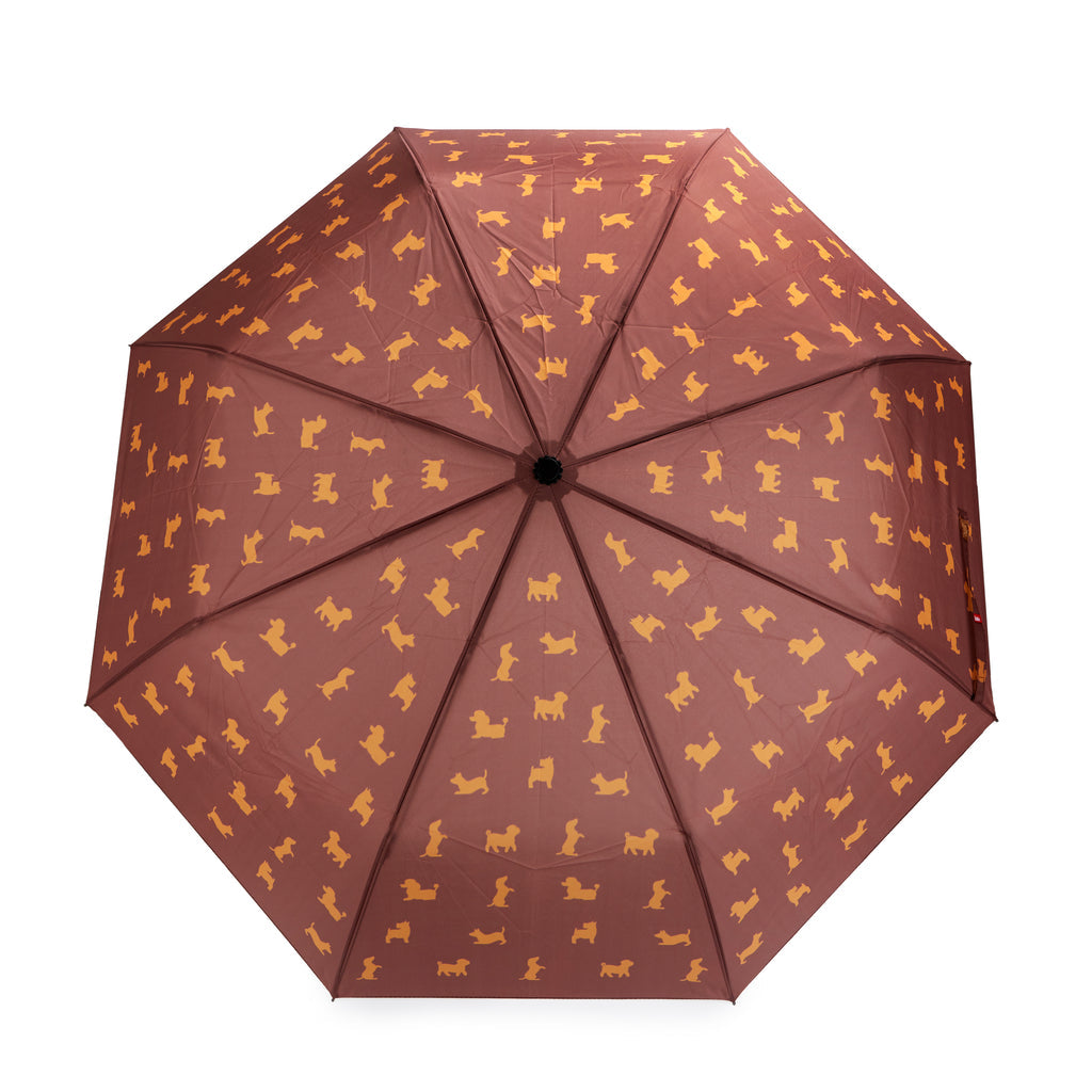 Puppymbrella Umbrella