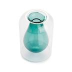 Vase de germination Avocado Vase