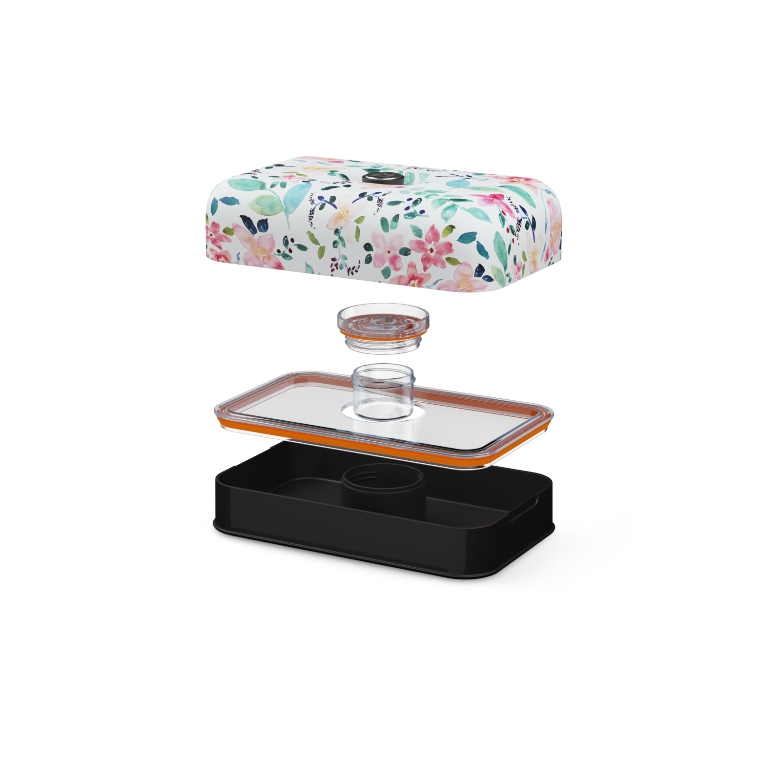 Lunch box | Little Buds