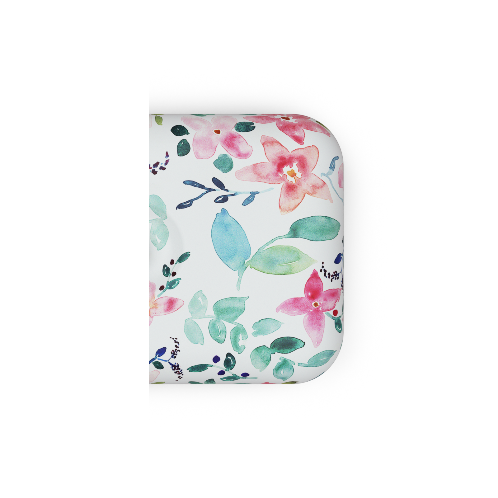 Lunch box | Little Buds