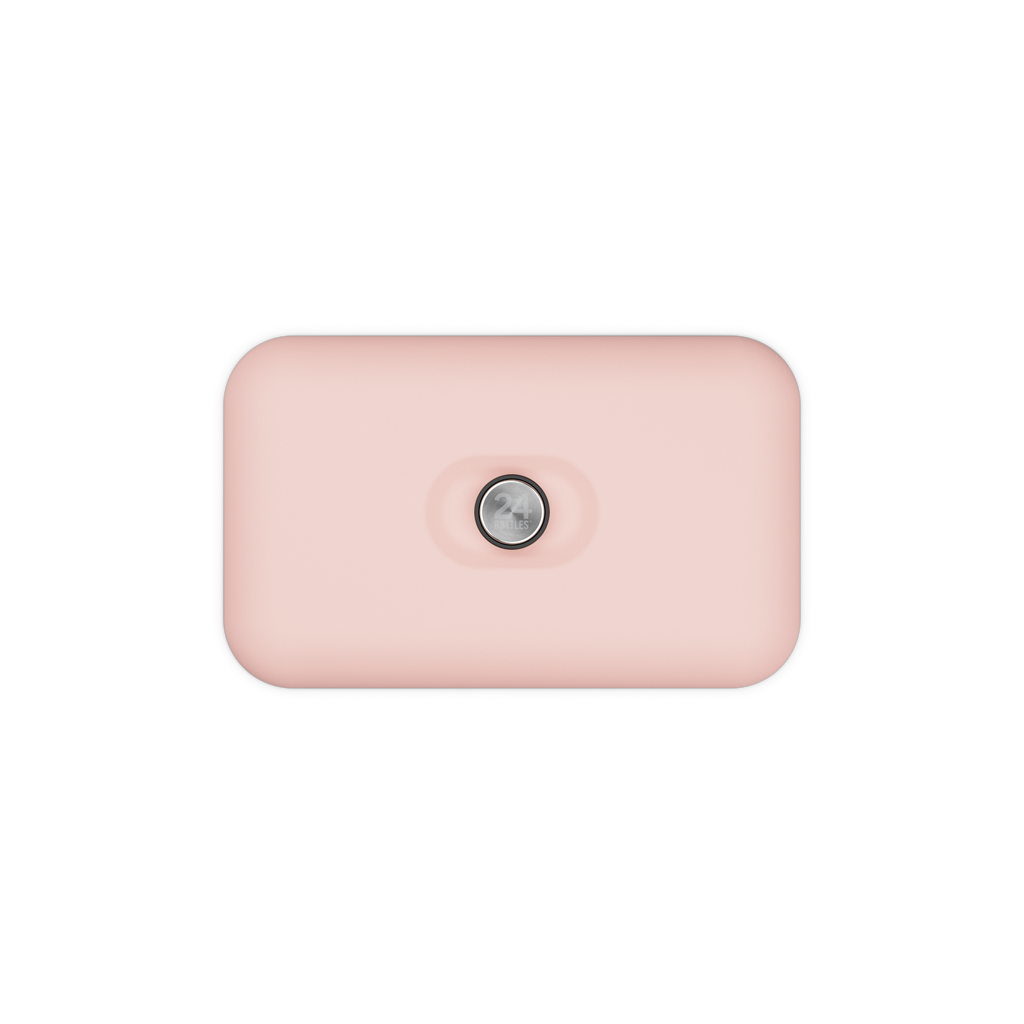 Lunch Box | Dusty Pink
