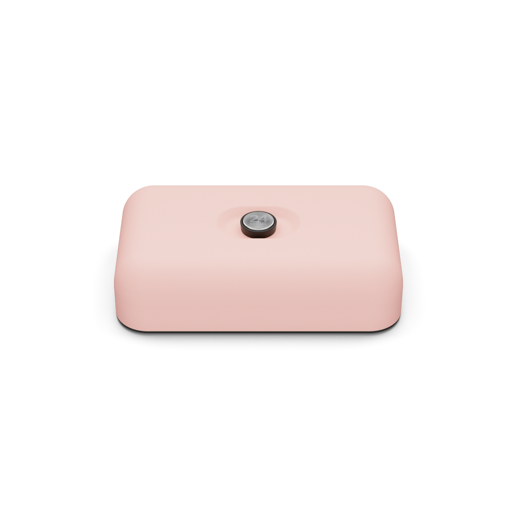 Lunch Box | Dusty Pink