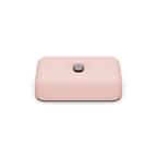 Lunch Box | Dusty Pink