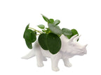 Pot de Fleur Dinosaure Tricérapot – Bitten