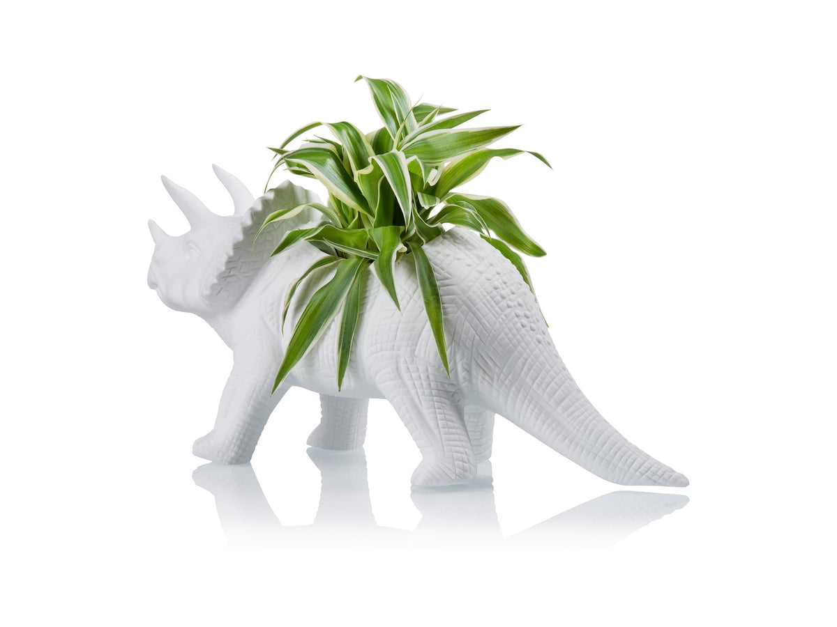 Pot de Fleur Dinosaure Tricérapot – Bitten