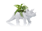 Pot de Fleur Dinosaure Tricérapot – Bitten