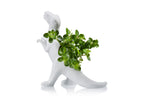 Pot de Fleur Dinosaure Plantosaurus Rex