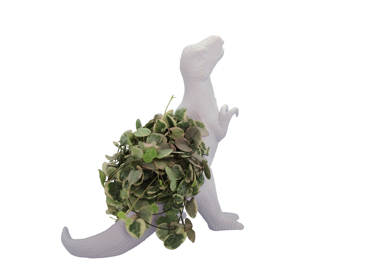 Pot de Fleur Dinosaure Plantosaurus Rex – Bitten