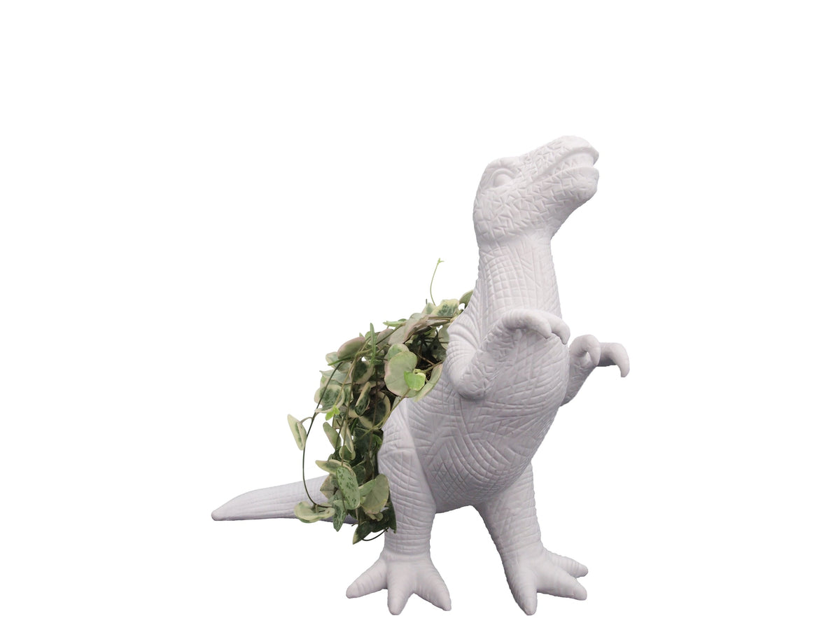 Pot de Fleur Dinosaure Plantosaurus Rex – Bitten