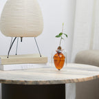 Vase de germination Acorn Vase