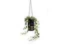Pot de Fleur Sac de Frappe