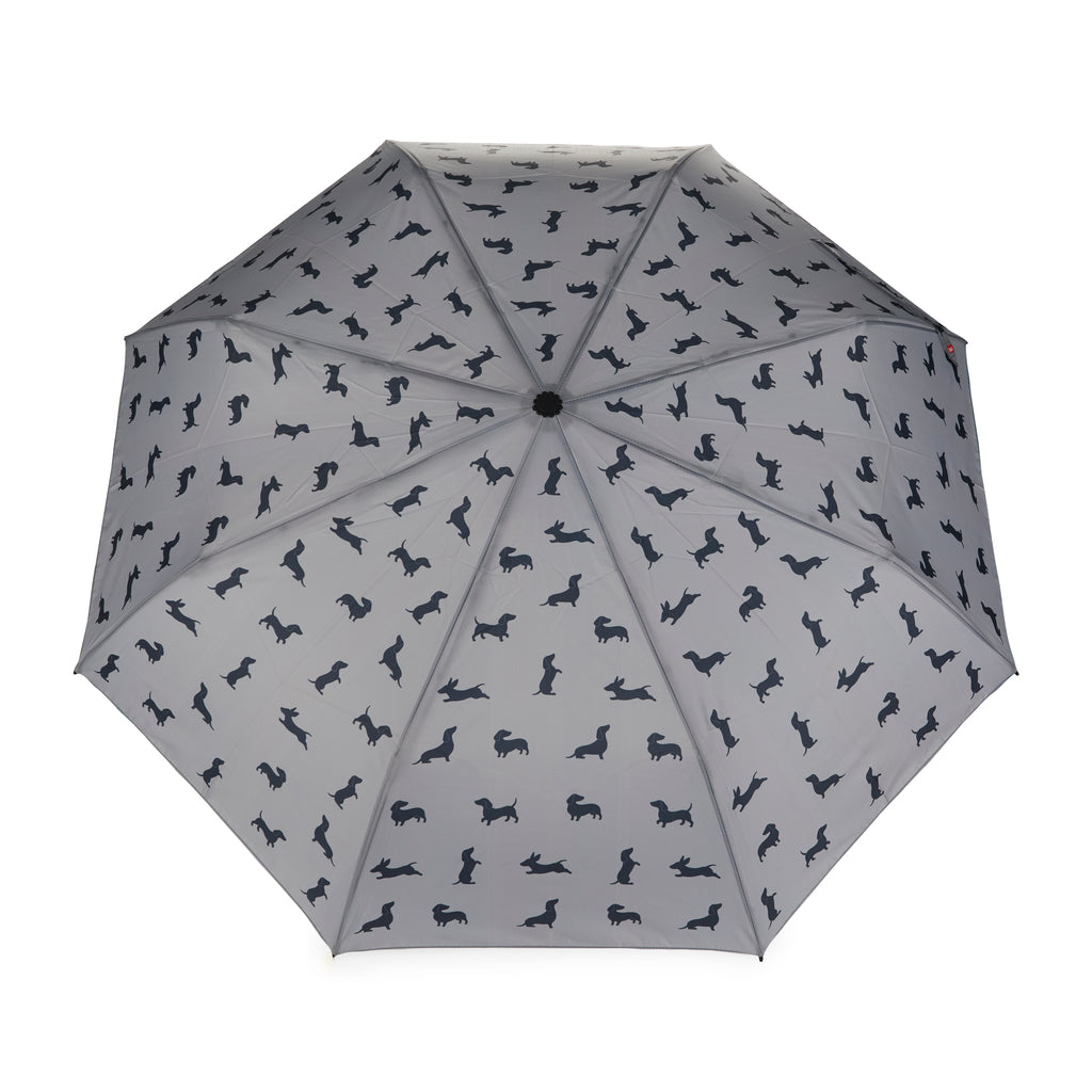 Teckel Umbrella