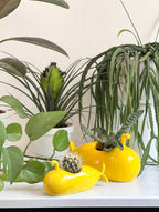 Pot de Fleur Sous-Marin Jaune – Moyen – Bitten
