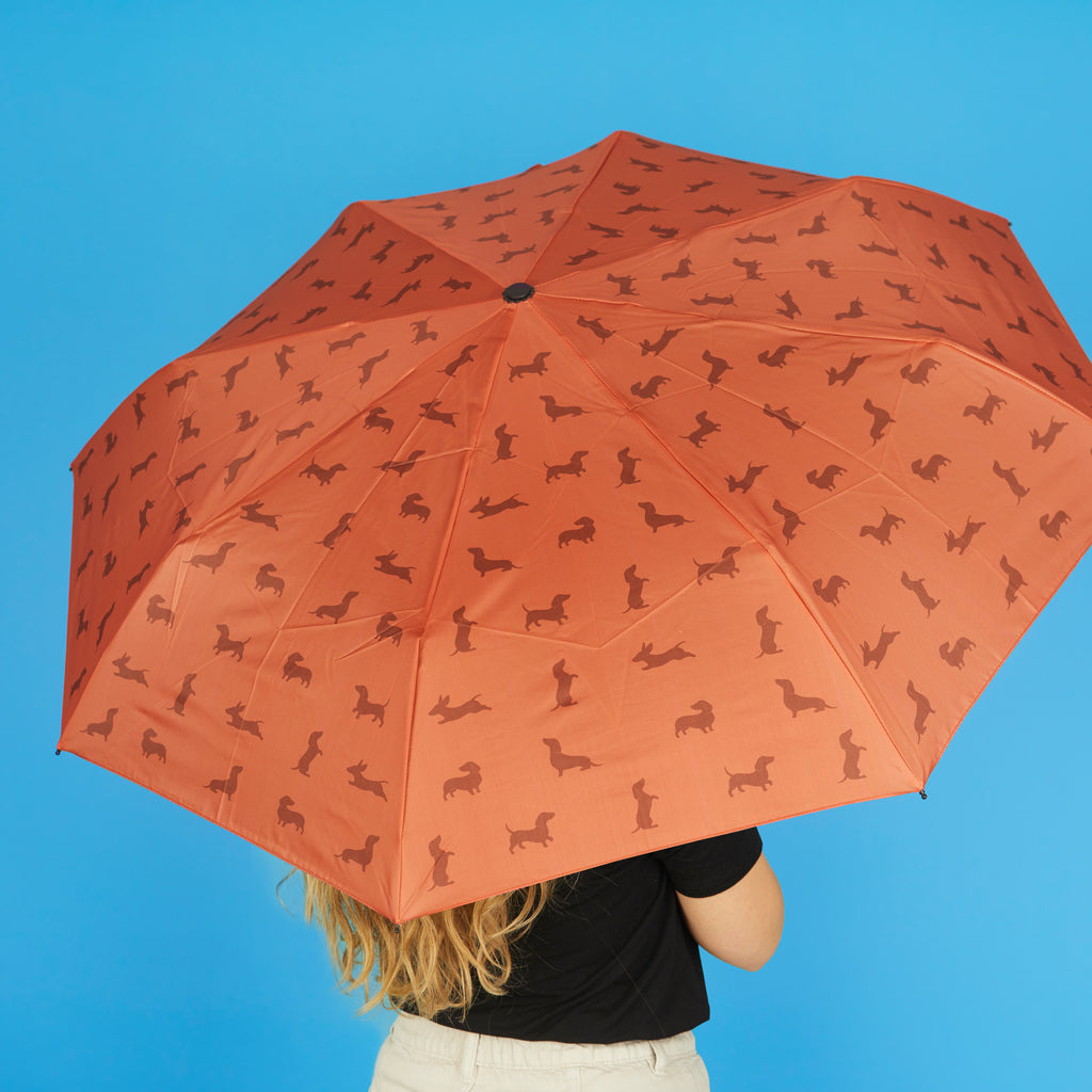 Teckel Umbrella