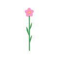 Wild Rose Bookmark