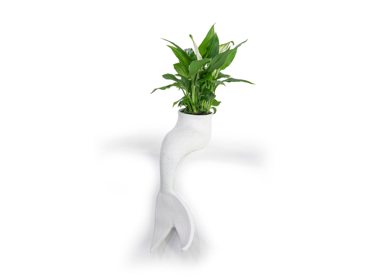Pot de Fleur Sirène – Bitten