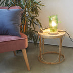Cactus Mexico Table Lamp