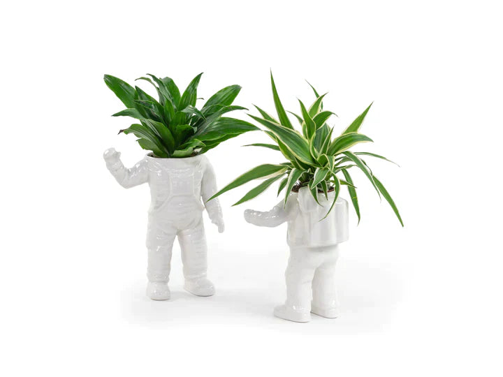 Oggetto regalo di design – pot de fleur astronaute bitten BTT1957 4897038626816