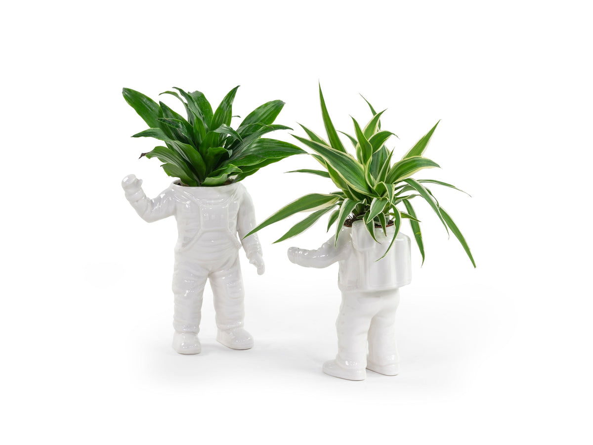 Pot de Fleur Astronaute – Petit – Bitten