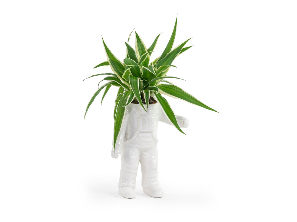 Pot de Fleur Astronaute – Petit – Bitten