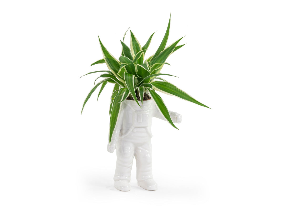 Pot de Fleur Astronaute – Petit – Bitten