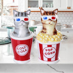 Salt and Pepper Cats at the Movies
