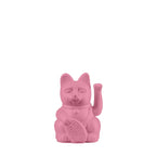 Glückliche Rosa Heißes Mini-Kätzchen