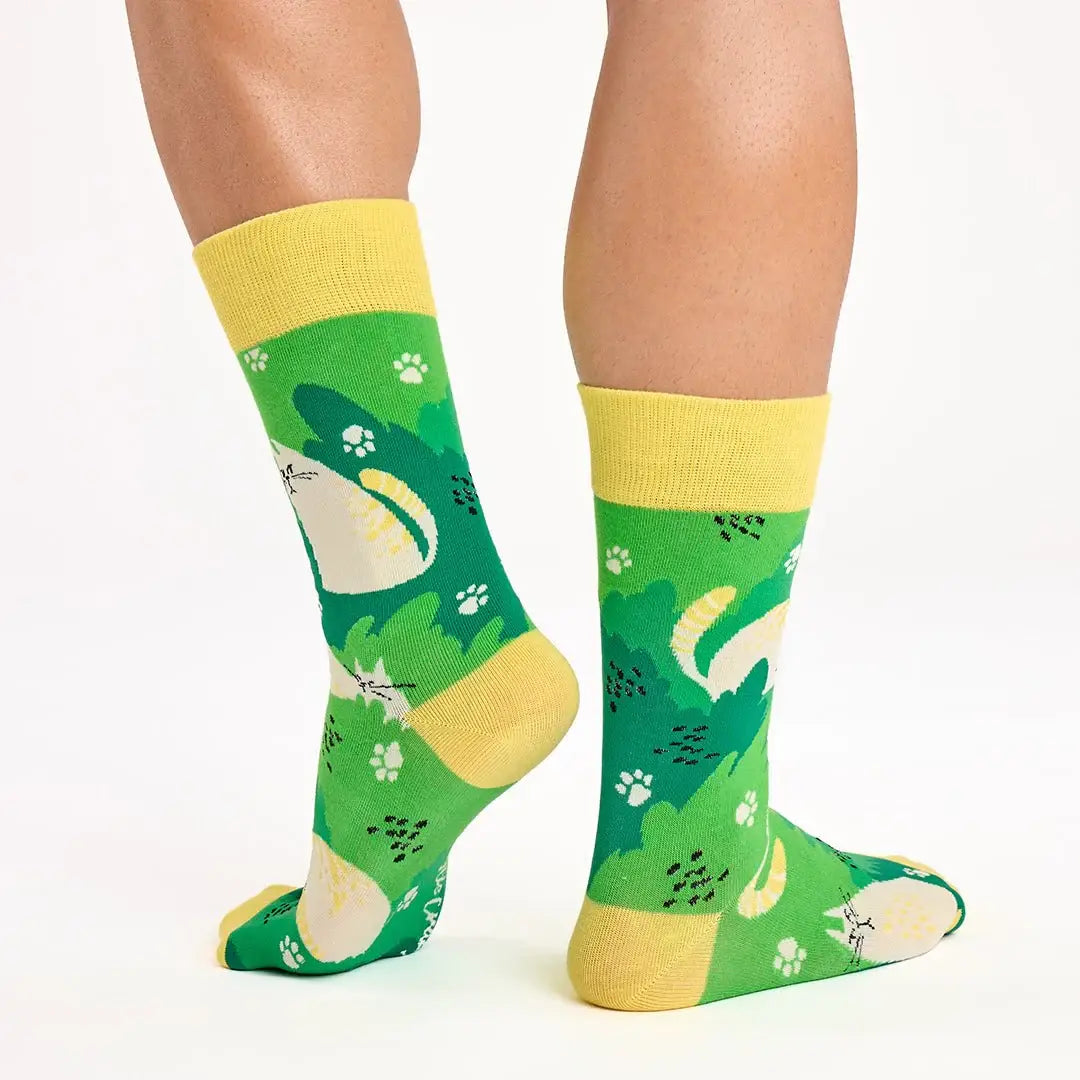 Pack original de 3 paires de chaussettes à motif chat avec boîte Kitten