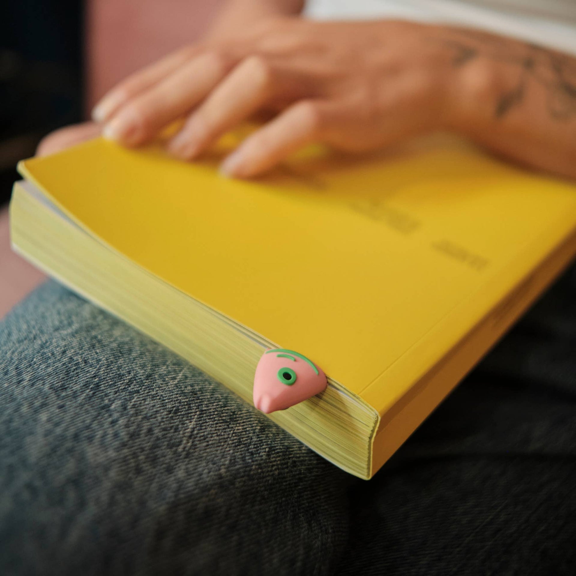 Marque Page Poisson Helio Ferretti Vue 2