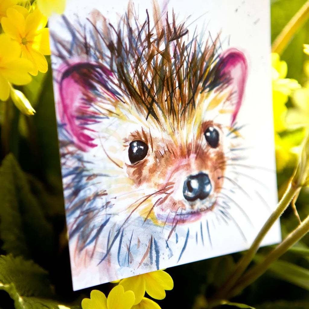 carte postale aquarelle herisson kate moby 
