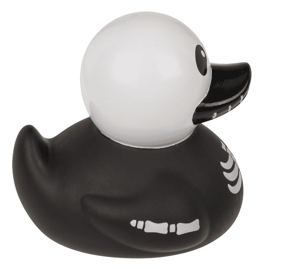 Canard Squelette – vue 15