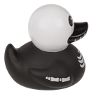 Canard Squelette – vue 15