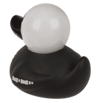 Canard Squelette – vue 16