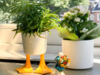 Pot de Fleur Pattes de Canard – Petit