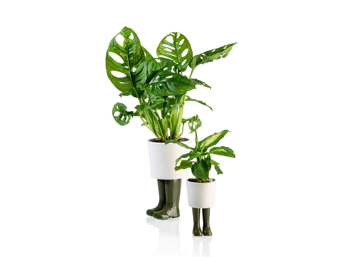 Pot de Fleur Bottes Wellington Vert – Petit – Bitten