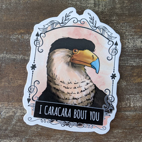 Designcadeau – autocollant i caracara bout you STICKCAR 31820876