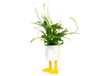 Pot de Fleur Pattes de Canard – Grand