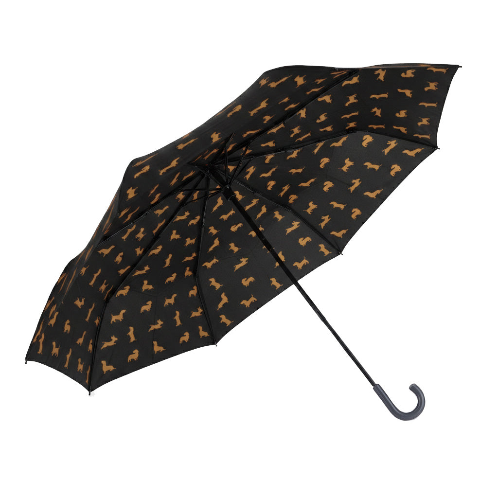 Teckel Umbrella