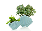 Pot de Fleur Coquillage Bleu – Petit – Bitten