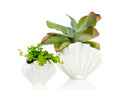 Pot de Fleur Coquillage Blanc – Grand – Bitten