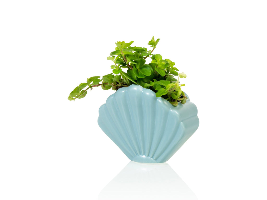 Pot de Fleur Coquillage Bleu – Petit – Bitten