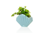 Pot de Fleur Coquillage Bleu – Petit