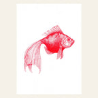 Carte postale Poisson Rouge | Designproducten en originele cadeaus
