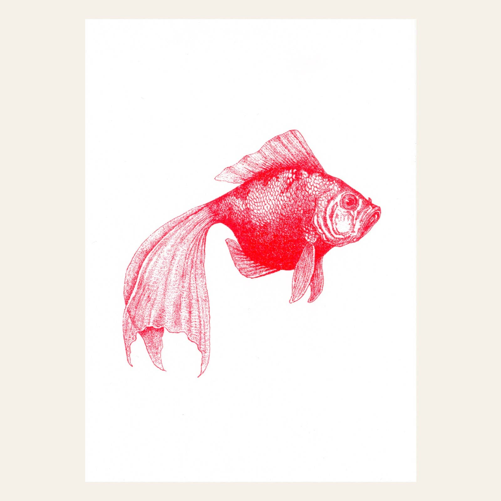 Carte postale Poisson Rouge | Designproducten en originele cadeaus