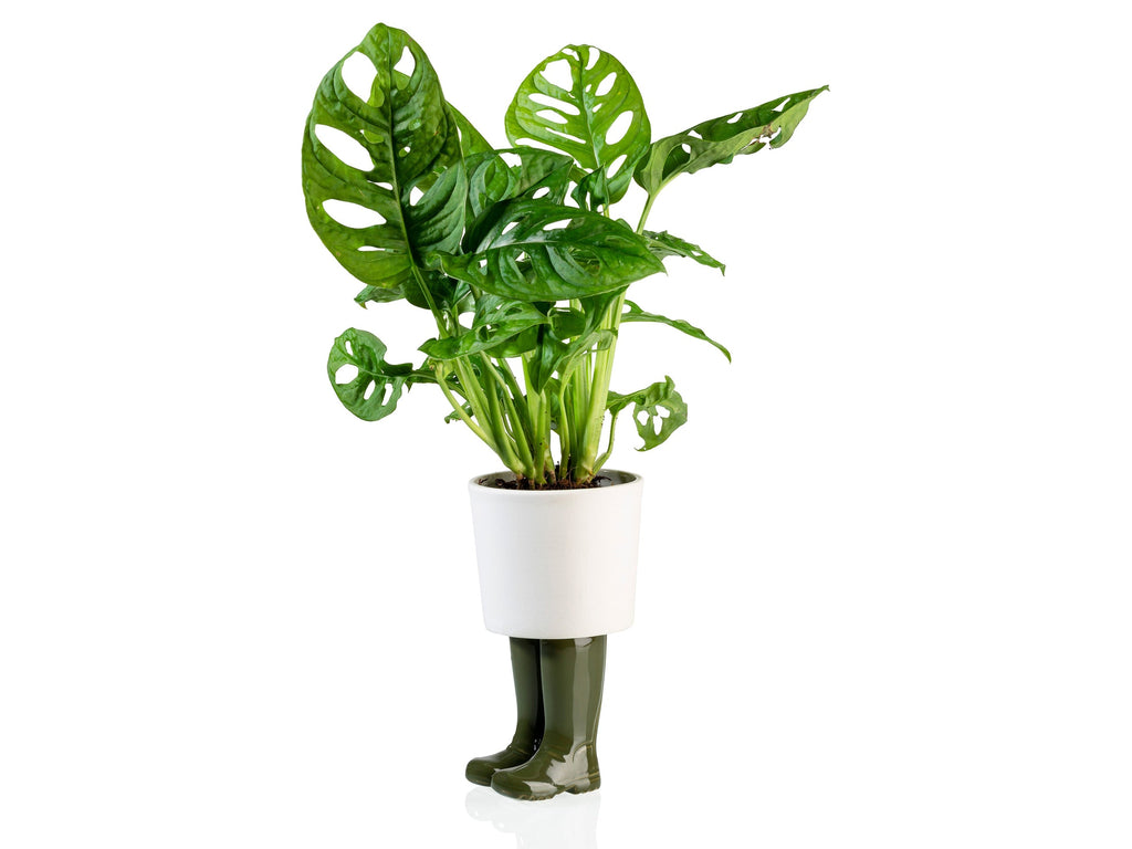 Pot de Fleur Bottes Wellington Vert – Grand – Bitten