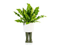 Pot de Fleur Bottes Wellington Vert – Grand