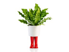 Pot de Fleur Bottes Wellington Rouge – Grand – Bitten