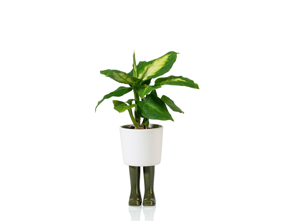 Pot de Fleur Bottes Wellington Vert – Petit – Bitten