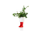 Pot de Fleur Bottes Wellington Rouge – Petit